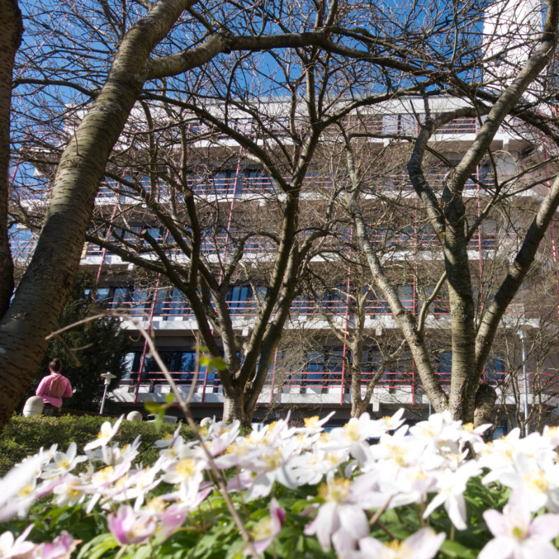 A picture of Hölderlin Campus with white flowers and leafless trees. There is a girl with a pink jacket on the left.