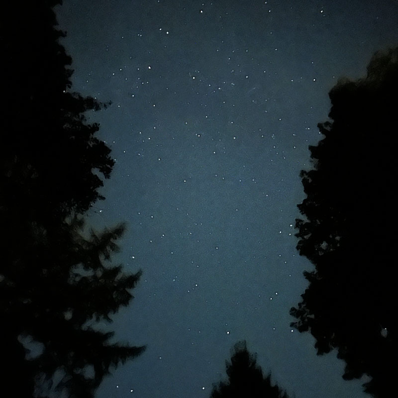 Nightsky Stars Trees